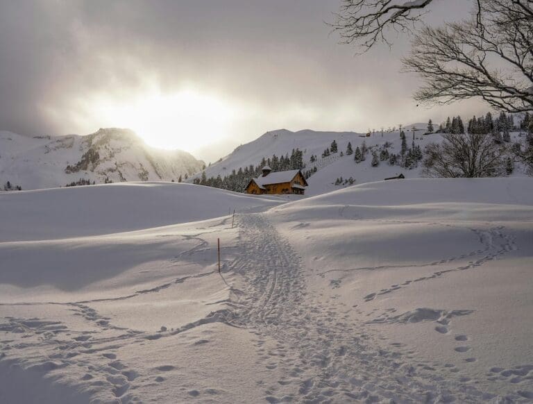 Gstaad: A Luxurious Family Escape with Activities in the Swiss Alps