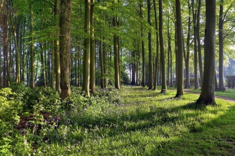 Best Family Sporting Activities in the Cotswolds: Hiking, Cycling & More