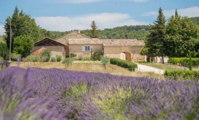 La Machotte Luxury Villa Experience in Paradise