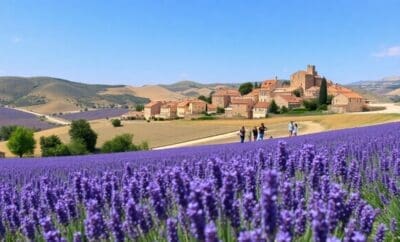Provence in Style: A Family-Friendly Luxury Guide to Lavender Fields & Hilltop Villages
