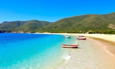 Where to Experience Formentera’s Beaches – Wildlife & Culture