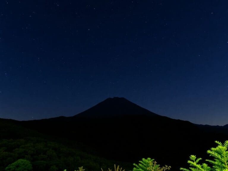 Guía de Viaje de La Palma - Bosques Exuberantes - Observación de Estrellas y Volcanes