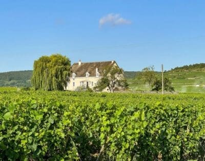 Maison des Grands Vins Burgundy Luxury Villa & Vineyard Retreat