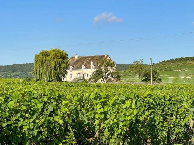 Maison des Grands Vins Burgundy Luxury Villa & Vineyard Retreat
