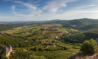 France Travel Guide: Best Restaurants, Activities & Luxury Villas
