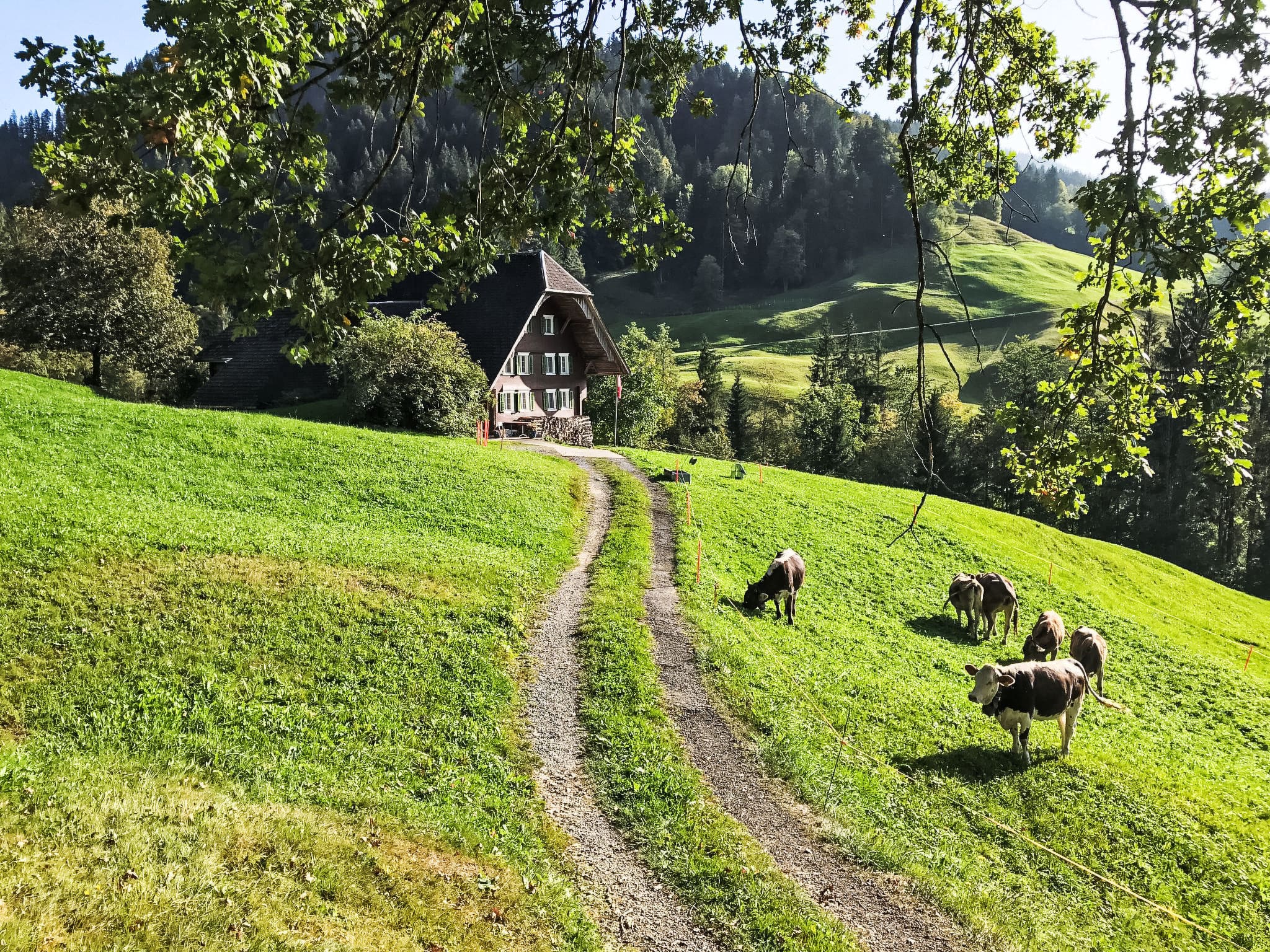 Chalet Fohn Marbach: Historic 5-Bedroom Farmhouse with Mountain Views and Ski Access in Swiss Alps