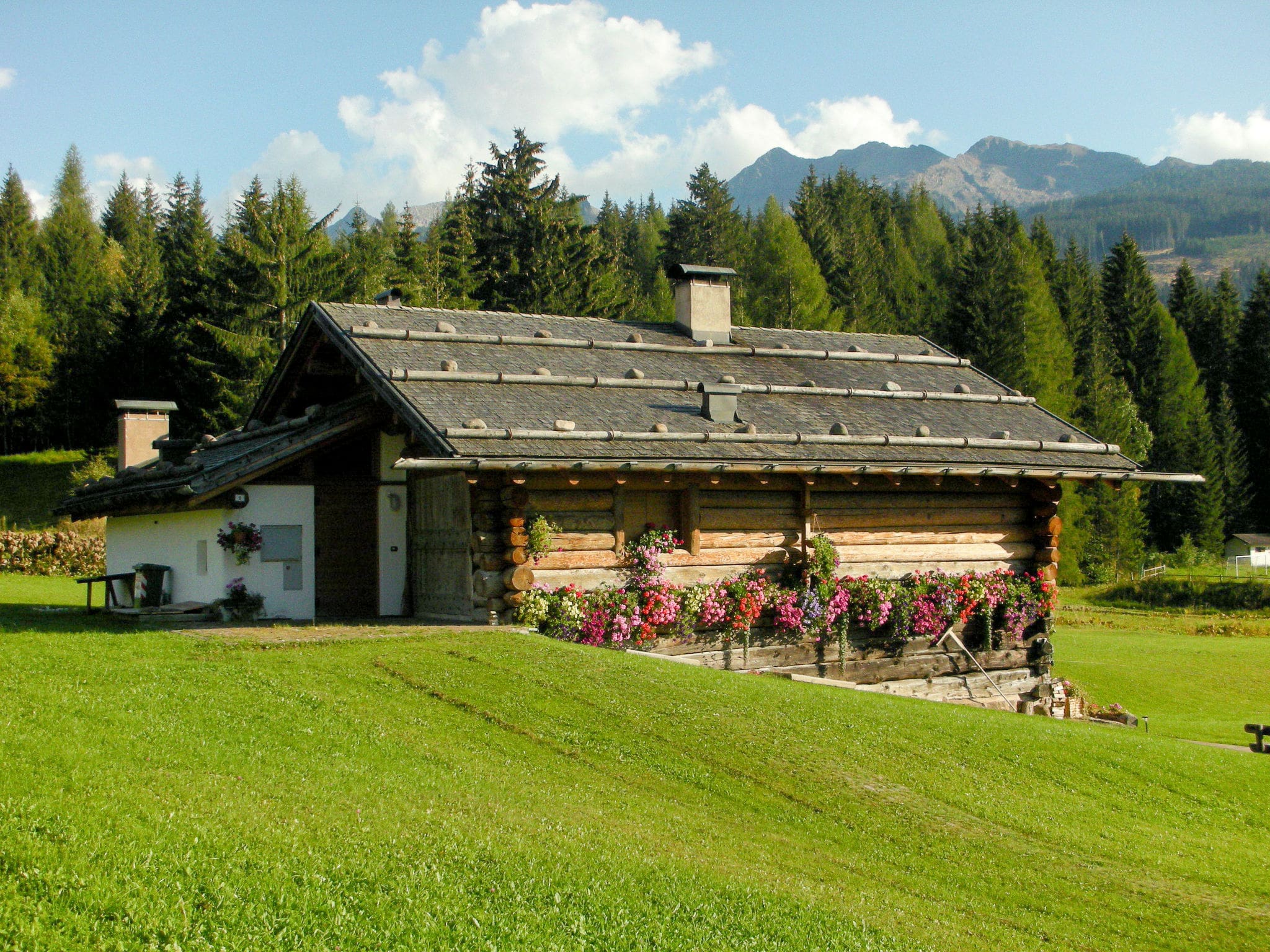 Chalet Fohn Predazzo: Stunning 4-Bedroom Alpine Retreat with Mountain Views and Garden in the Heart of the Dolomites