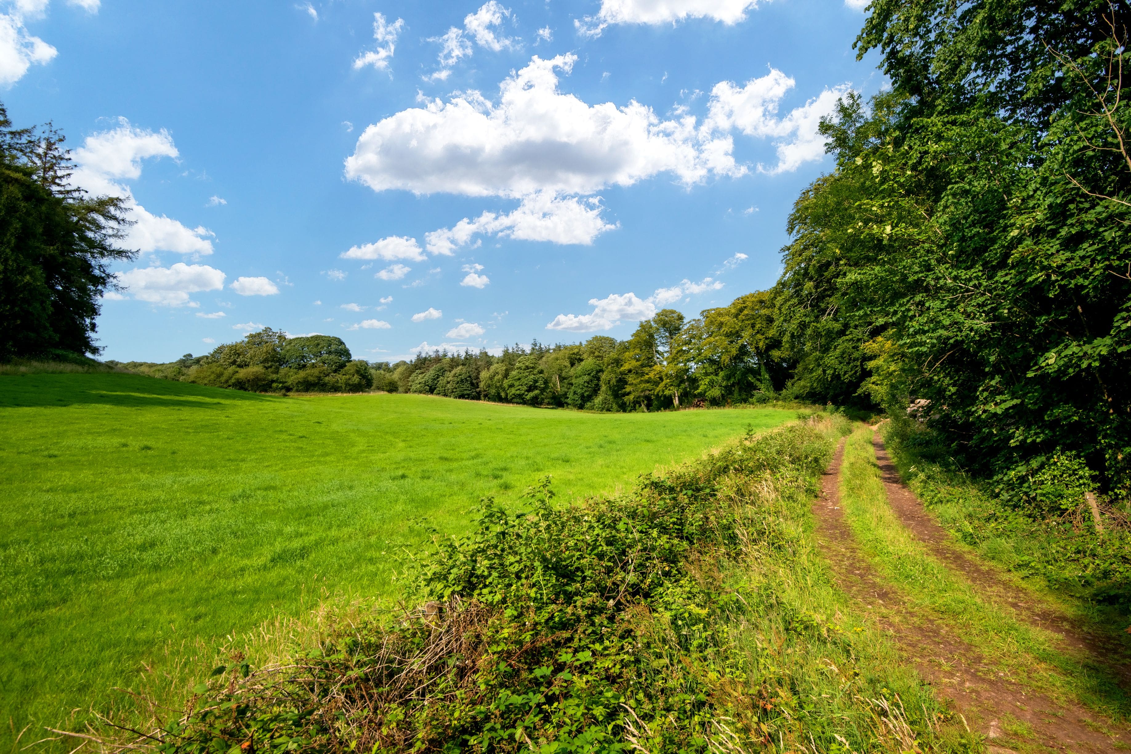 Coed y Dderwen: 4-Bedroom Cottage Near the Beach in Gwynedd