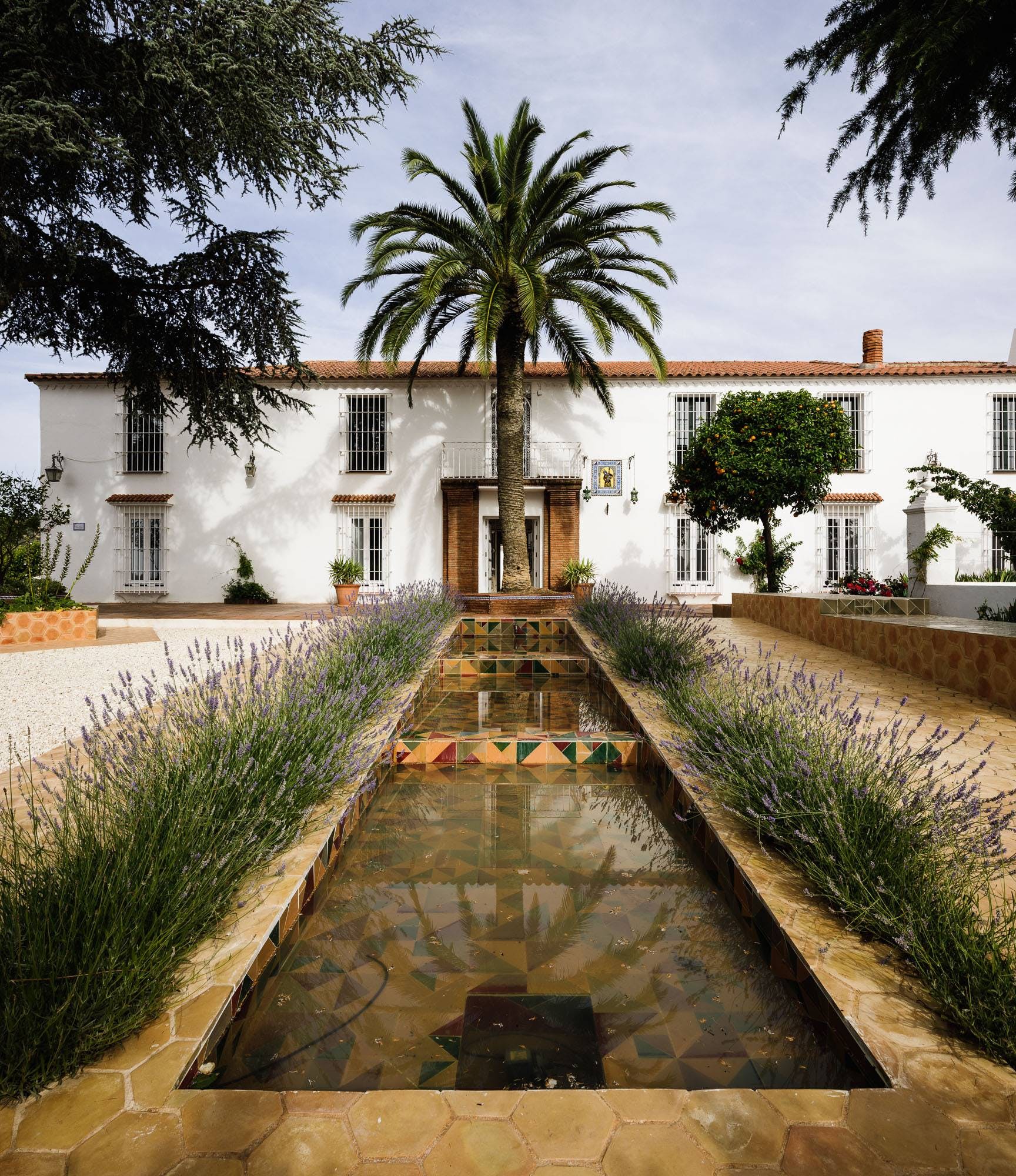 Finca del Olivar: Spectacular 9-Bedroom Luxury Villa Badajoz Spain with Private Pool and Olive Groves