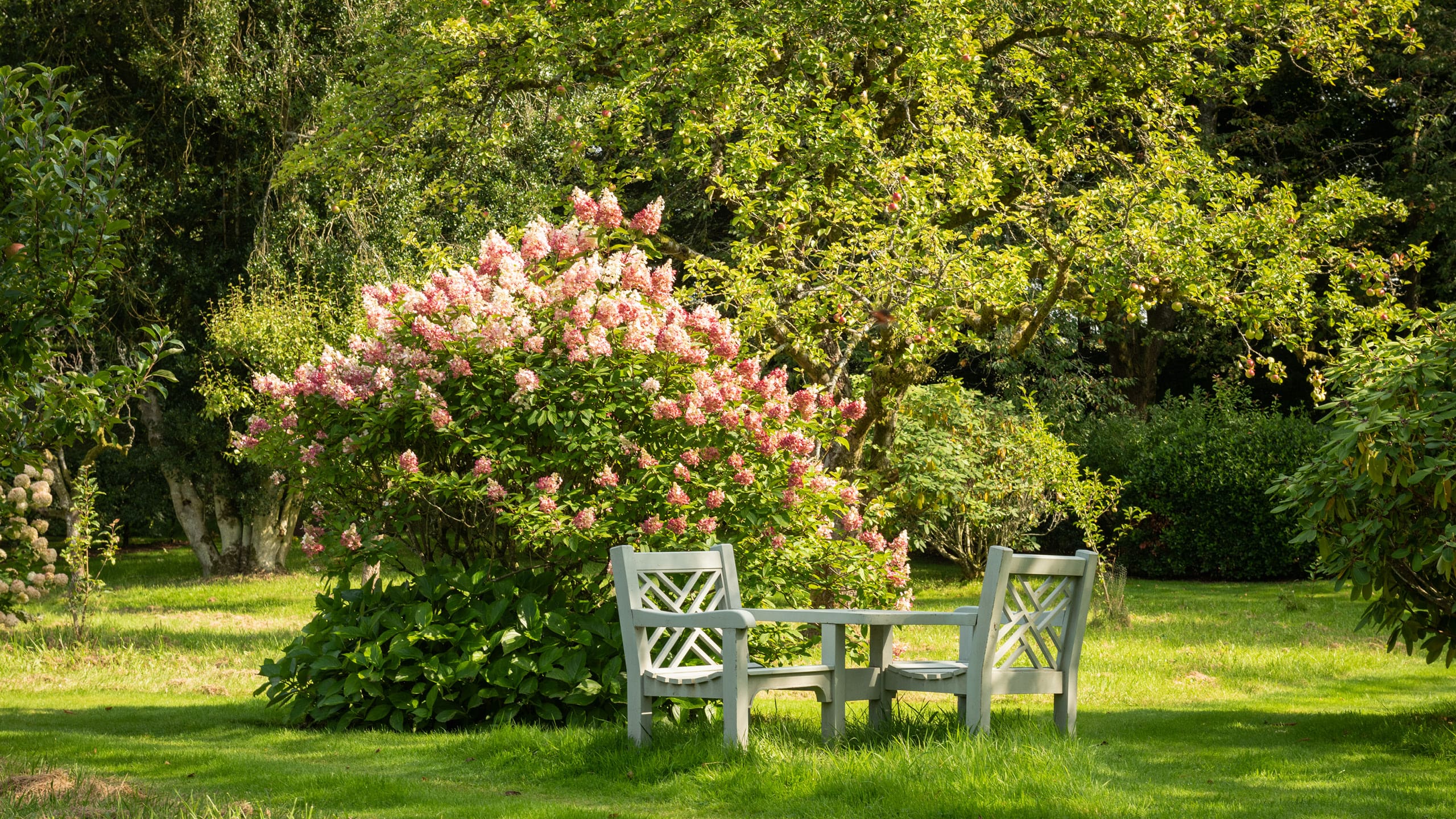 Galloway Manor Estate: Historic 11-Bedroom Manor House Rental Dumfries and Galloway with Private Sauna