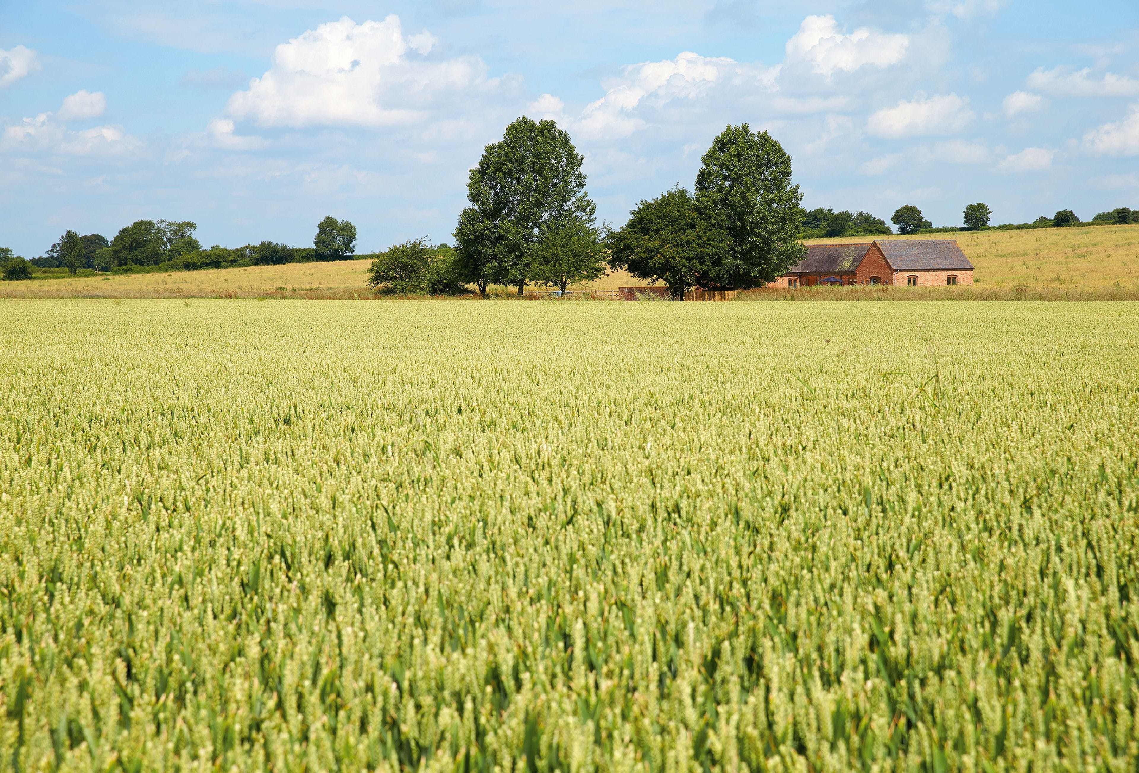 House Avon Warwick: Charming 4-Bedroom Cottage with Countryside Views, Warwickshire