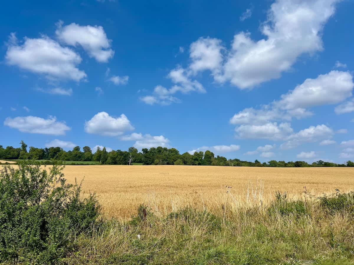 House Mendip Frome: Luxury 8-Bedroom Cottage with Hot Tub, Somerset Countryside