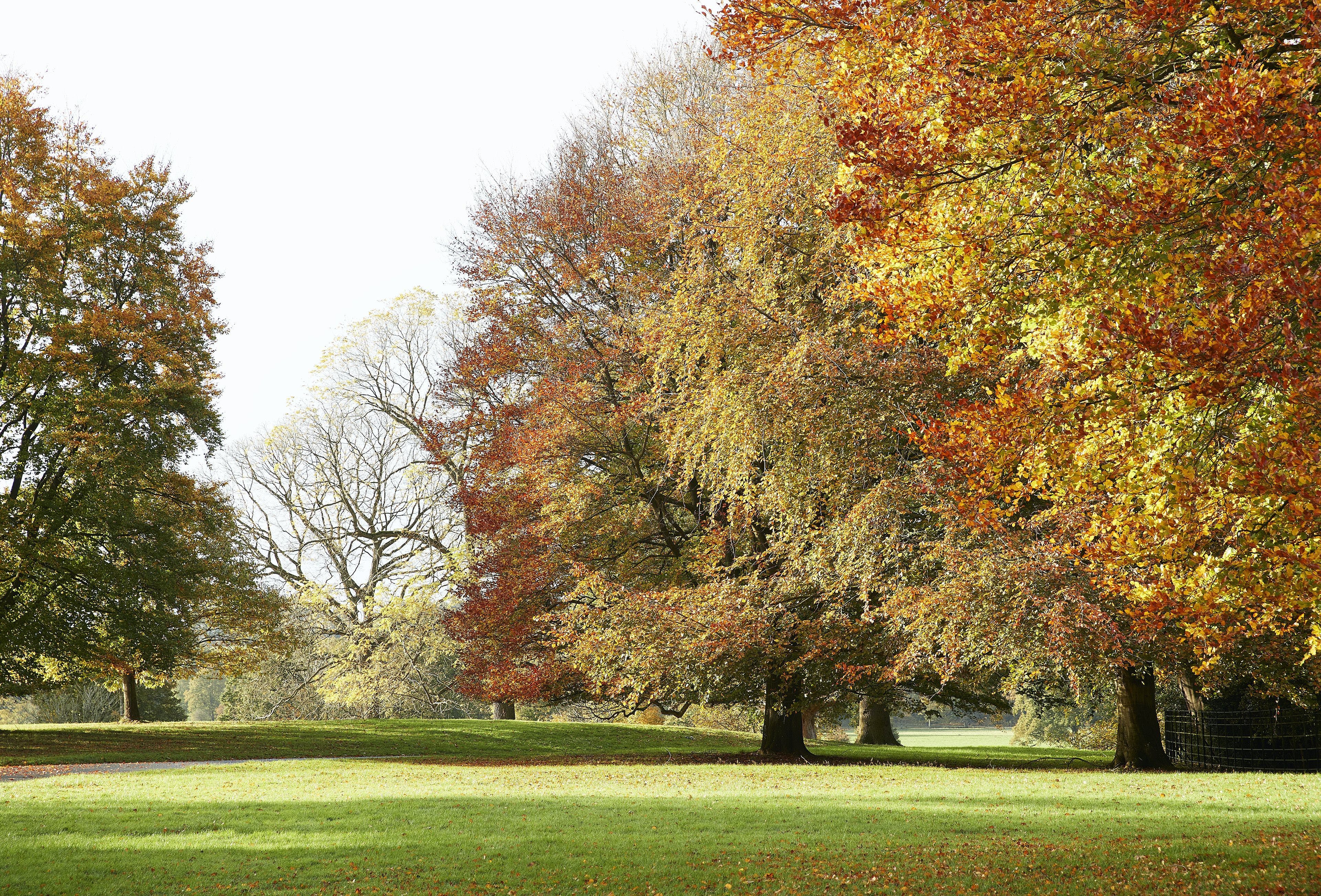 Manor Needwood Staffordshire: Spacious 5-Bedroom Apartment with Parkland Access, Staffordshire