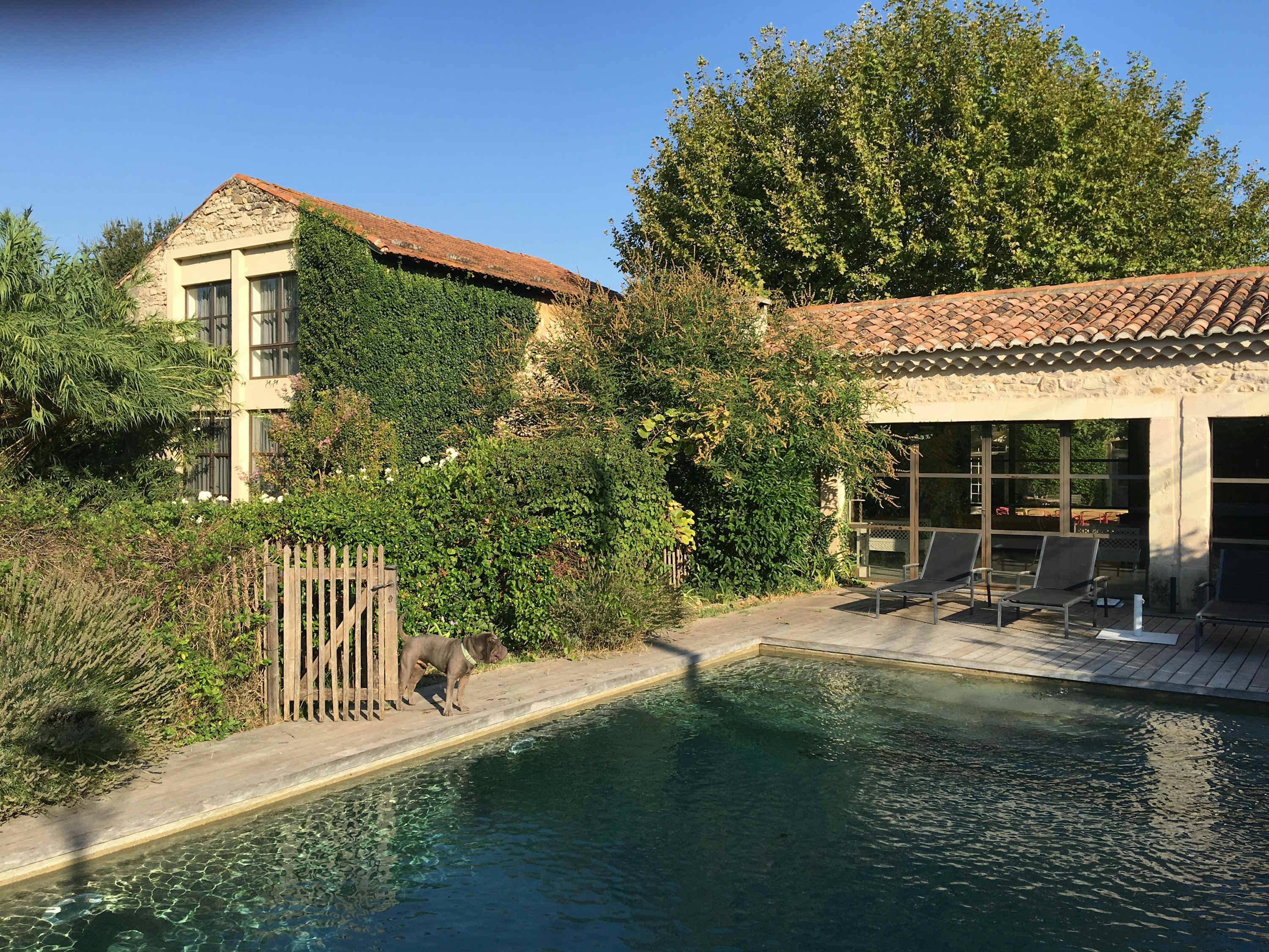 Mas de la Lavande Saint-Rémy-de-Provence: Luxury 5-Bedroom House with Pool in Saint-Rémy-de-Provence