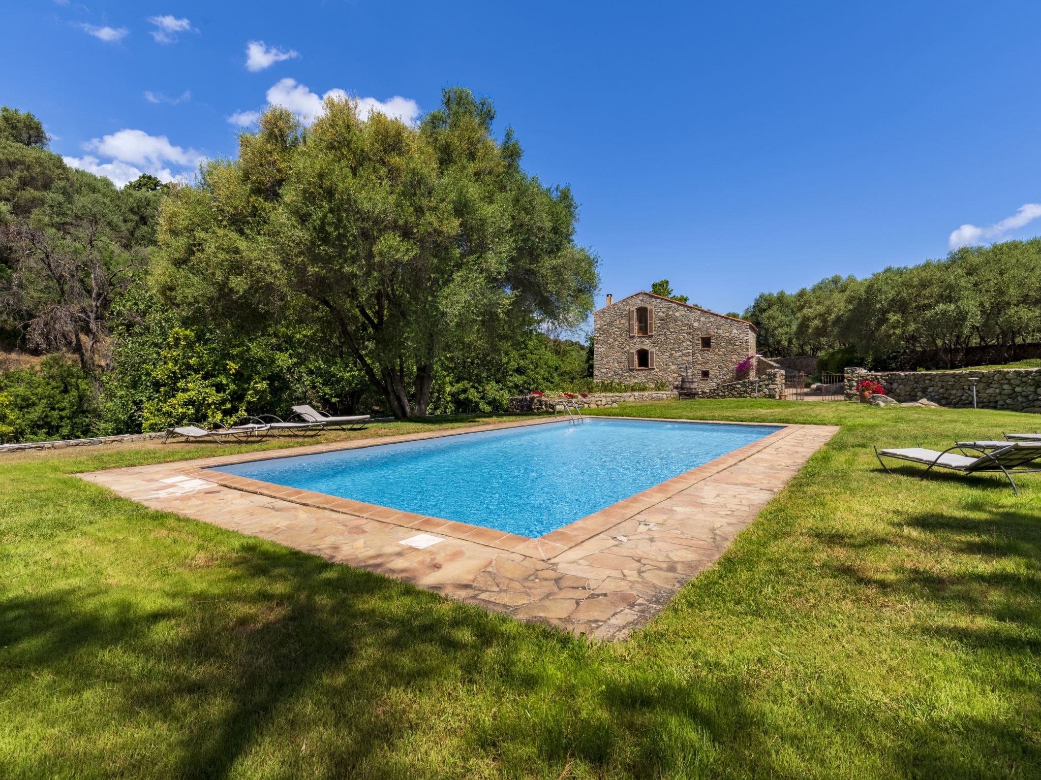 Moulin Nebbia Lama: Spectacular 7-Bedroom Historic Windmill with Mountain Views and Private Pool in Rural Corsica France