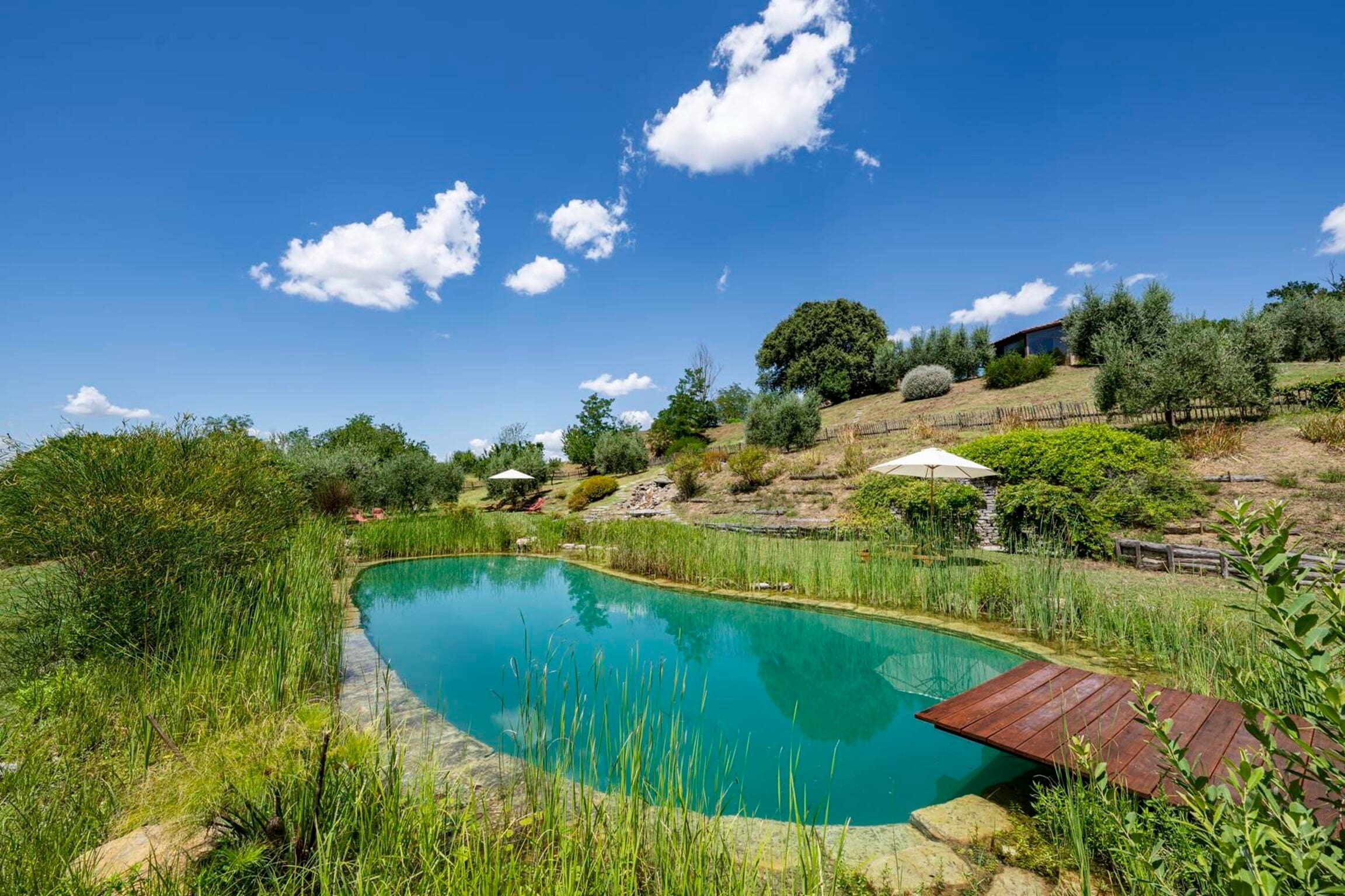 Palazzo Oliveto Umbria Umbria: Luxury 5-Bedroom Apartment with Sauna and Eco-Pool, Umbria