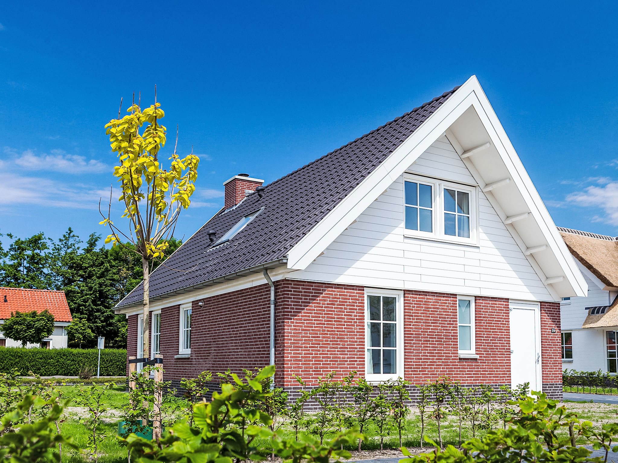 Villa Keukenhof Noordwijk: Spacious 4-Bedroom Detached Villa Near Beach with Modern Amenities in Dutch Coast Resort
