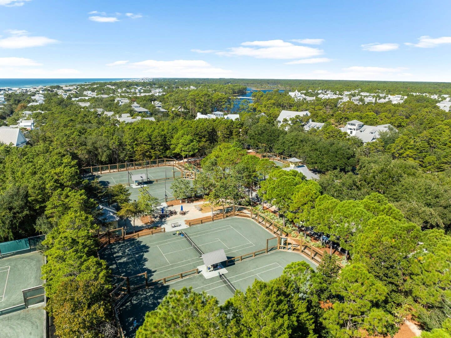House Magnolia Watercolor: Luxury 5-Bedroom Villa with Seaview and Pool, Walton County