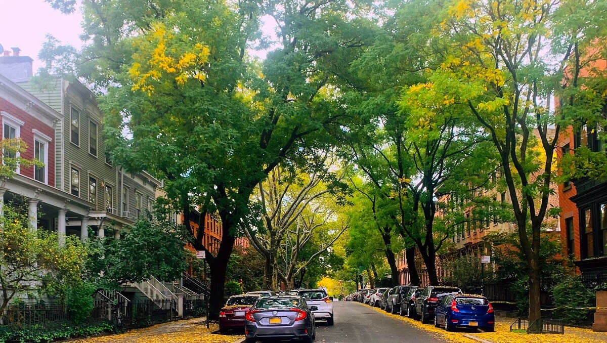 Villa Pratt FortGreene: Spacious 3-Bedroom Luxury Villa Rental with Air Conditioning in Fort Greene, New York