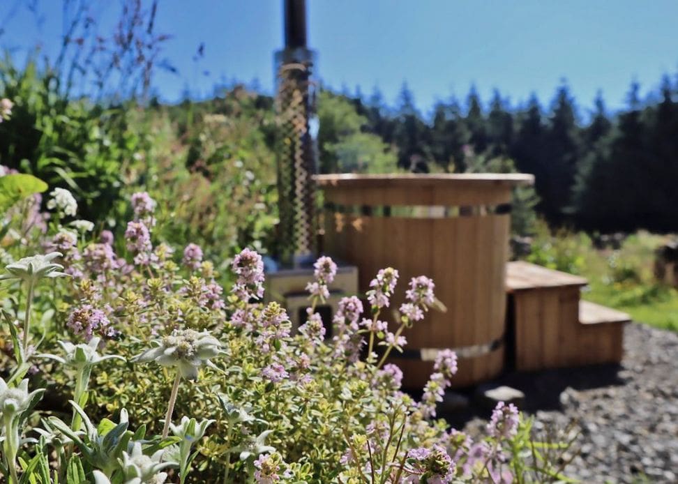 Lodge Thistle Hermitage Newcastleton: 1-Bedroom Luxury Villa Rental Newcastleton – Scottish Border